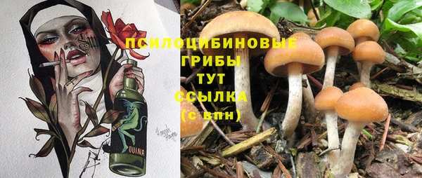 твердый Богородск