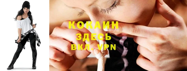 твердый Богородск