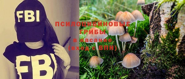 метадон Богородицк