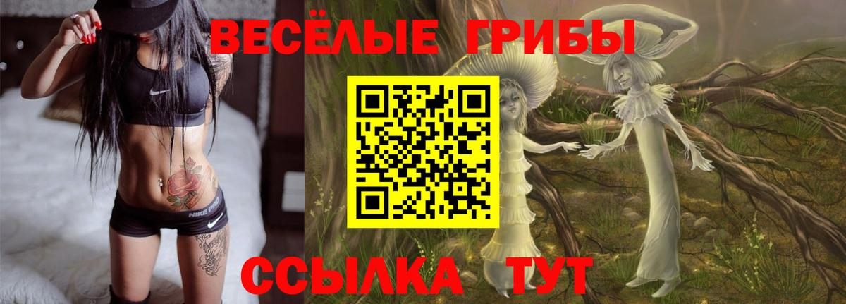 Галлюциногенные грибы ЛСД  закладки  Псилоцибиновые грибы ЛСД  Обь  Вход с VPN 